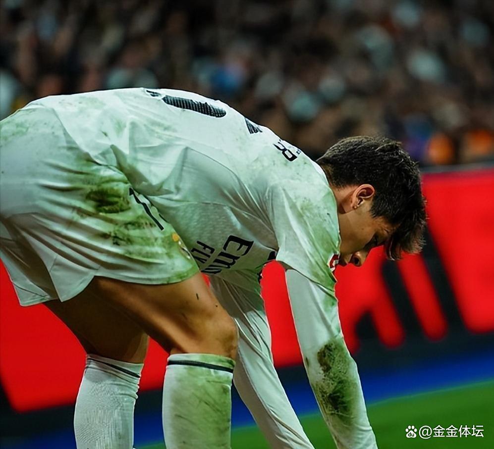 瑞典队在比赛中不敌西班牙，遭受了一场惨重的失利的简单介绍